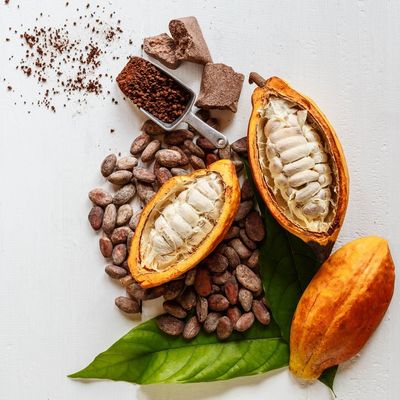 Vol. 34 - &quot;Pairing Wine and Chocolate&quot;