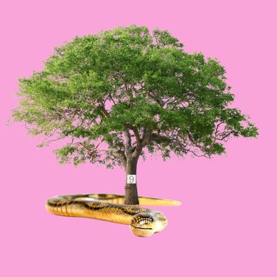 The Wood Snake #9