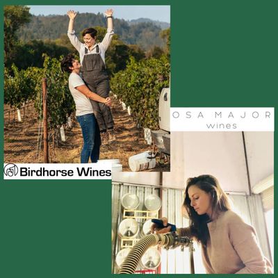Celebrating Women&#39;s History Month: Birdhorse Wines and Osa Major