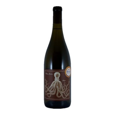 Black Sheep Finds Holus Bolus Roussanne 2022, Santa Barbara, CA