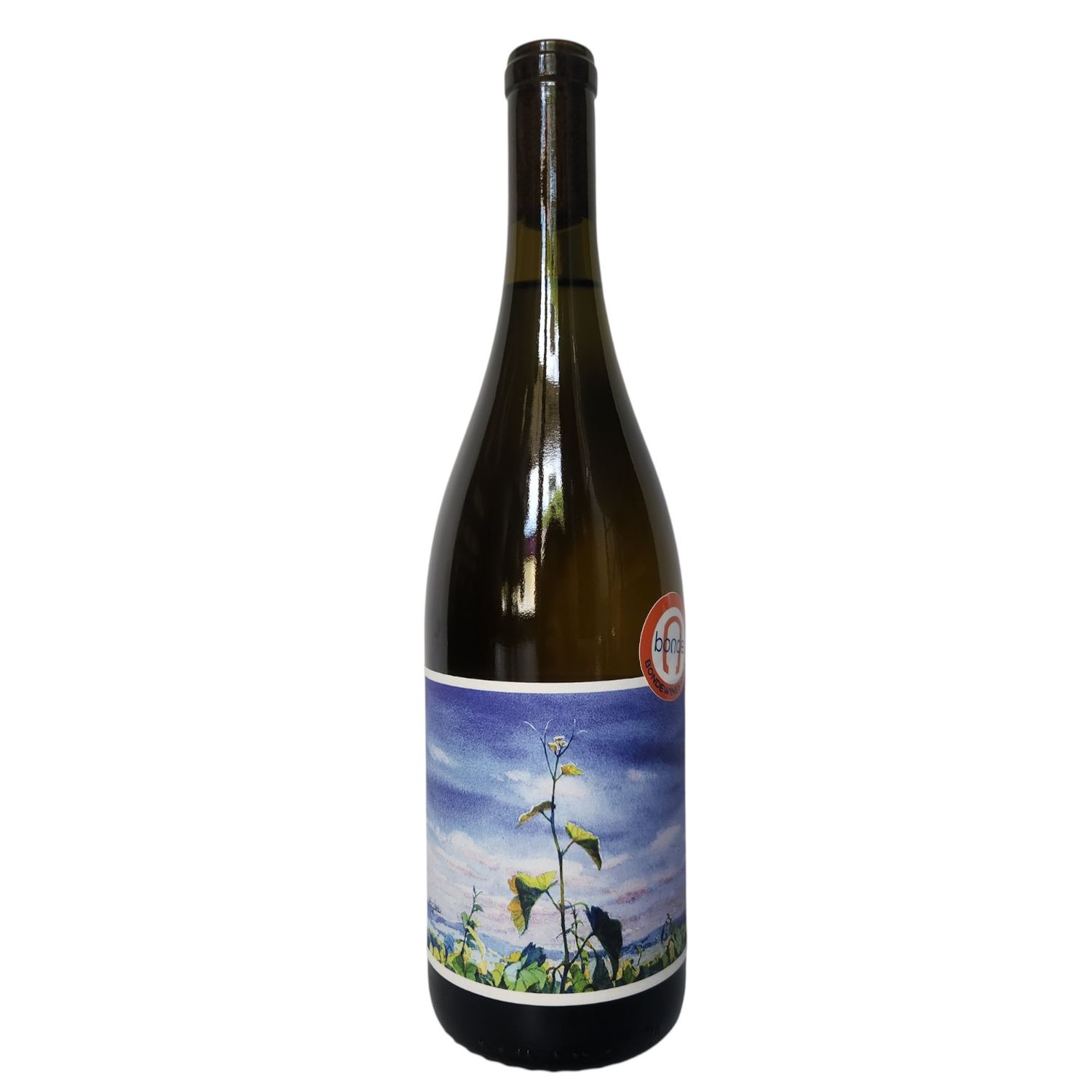 Johan Vineyards Savagnin 2022, Willamette Valley, OR