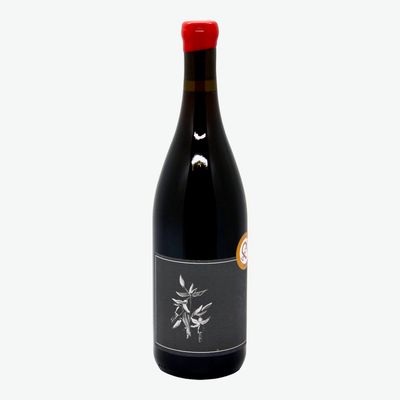 Arnot-Roberts Trousseau  2023, Lake County, CA