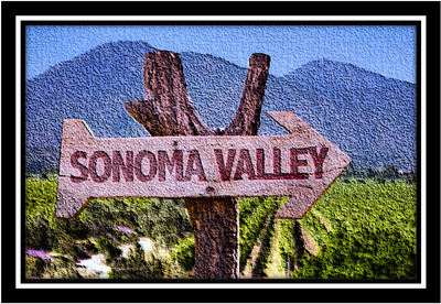 Pinot Noir Part II
