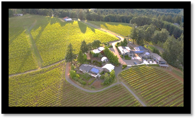 ​Willamette Valley: A Pinot Noir Paradise