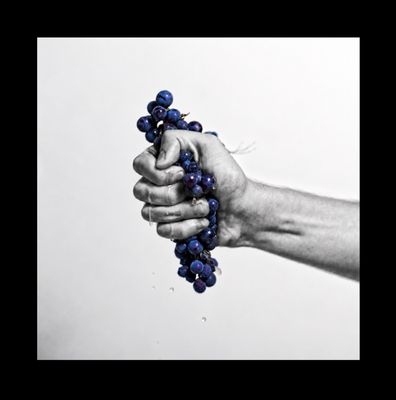 Vol. 58 - Gamay Noir