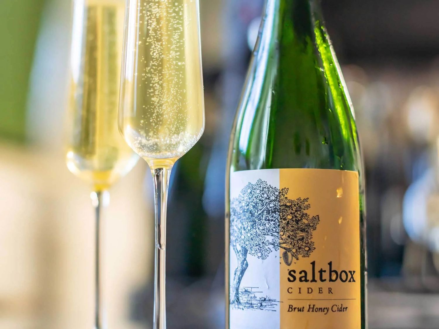 Saltbox Cider shop, Aged Cider Honey Brut, Haverhill, MA