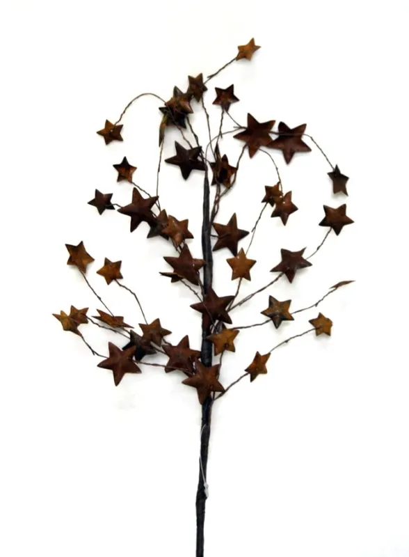 Rust Star Spray