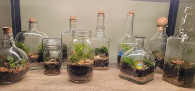 Terrarium Bar with Amanda - June 13th 1pm cst
