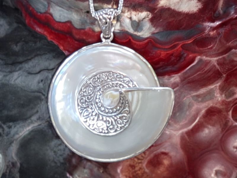 Nautilus Bail Pendant