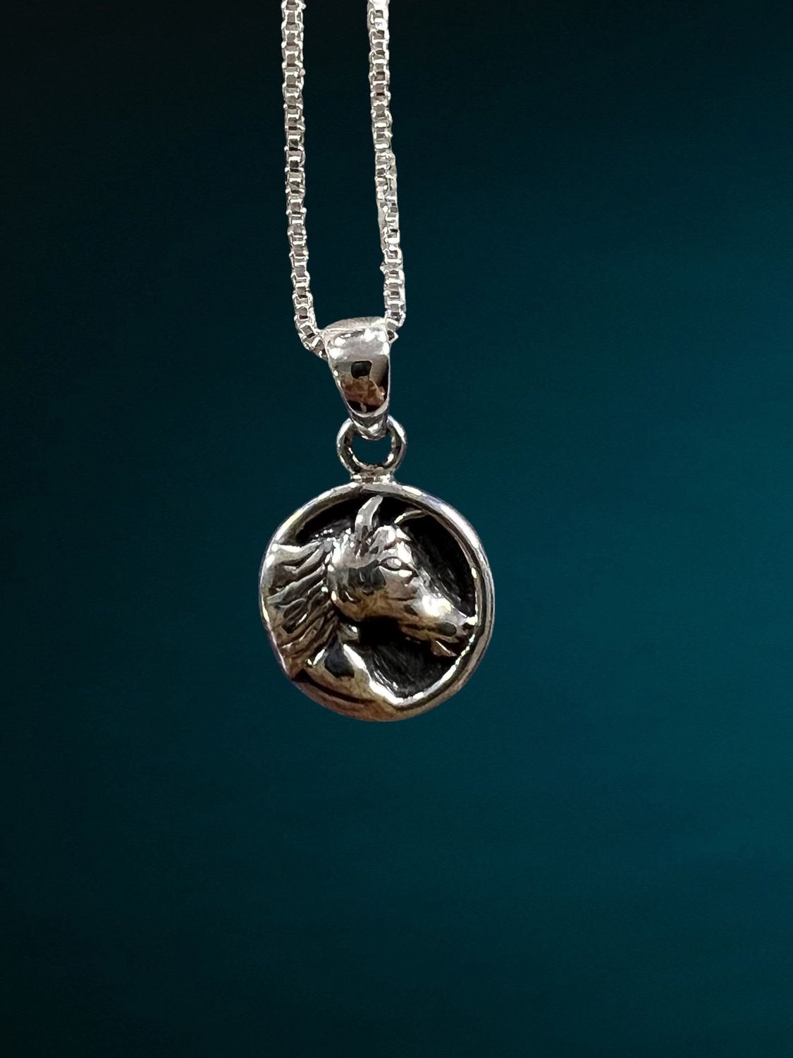 Chincoteague Island Wild Pony Signet Pendant