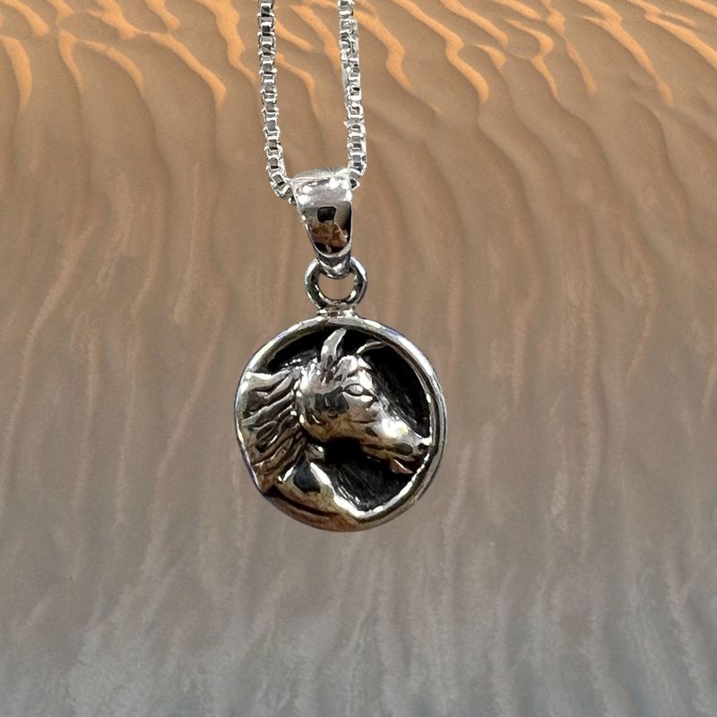 Chincoteague Island Wild Pony Signet Pendant