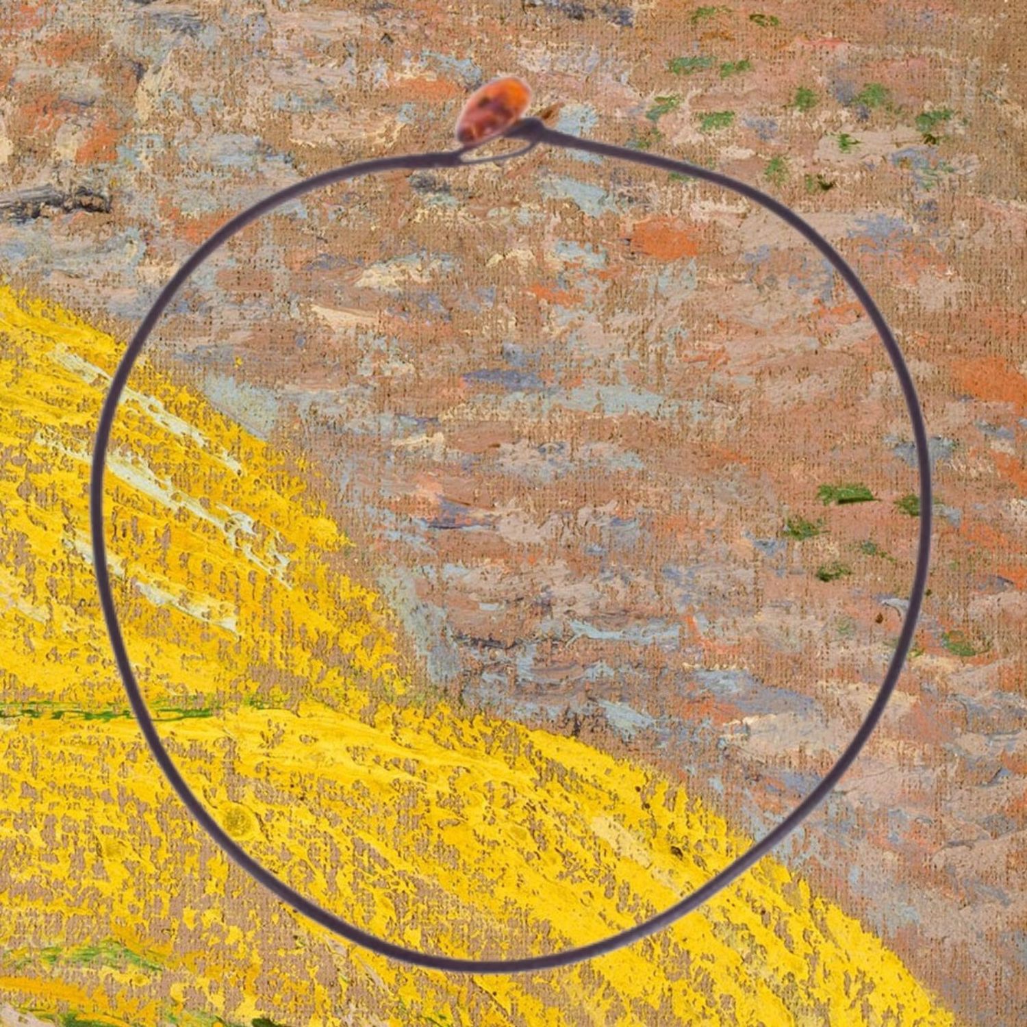 24&quot; Leather Cord Amber