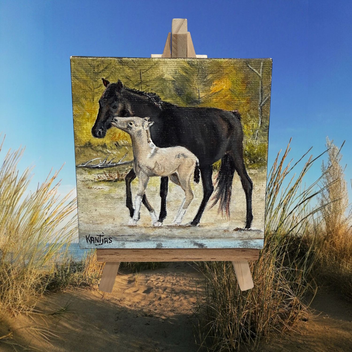 Dexi &amp; 2024 Filly 4x4 Original