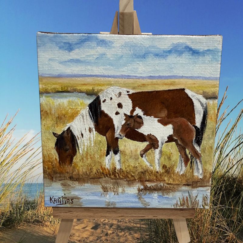 Danny's Girl Splash &amp; Isleros 4x4 Original