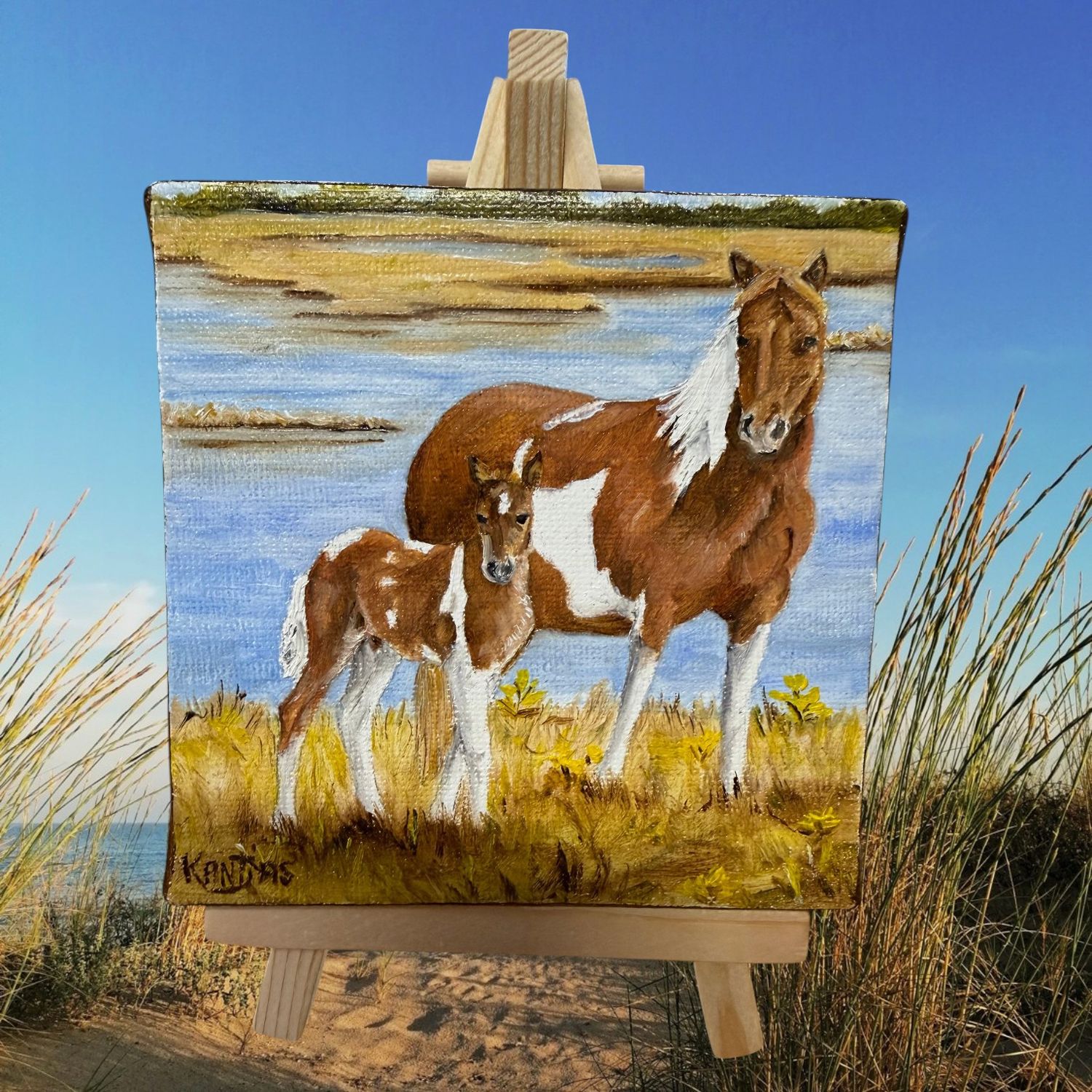 Catwalk Chaos Filly 2026 4X4 Original