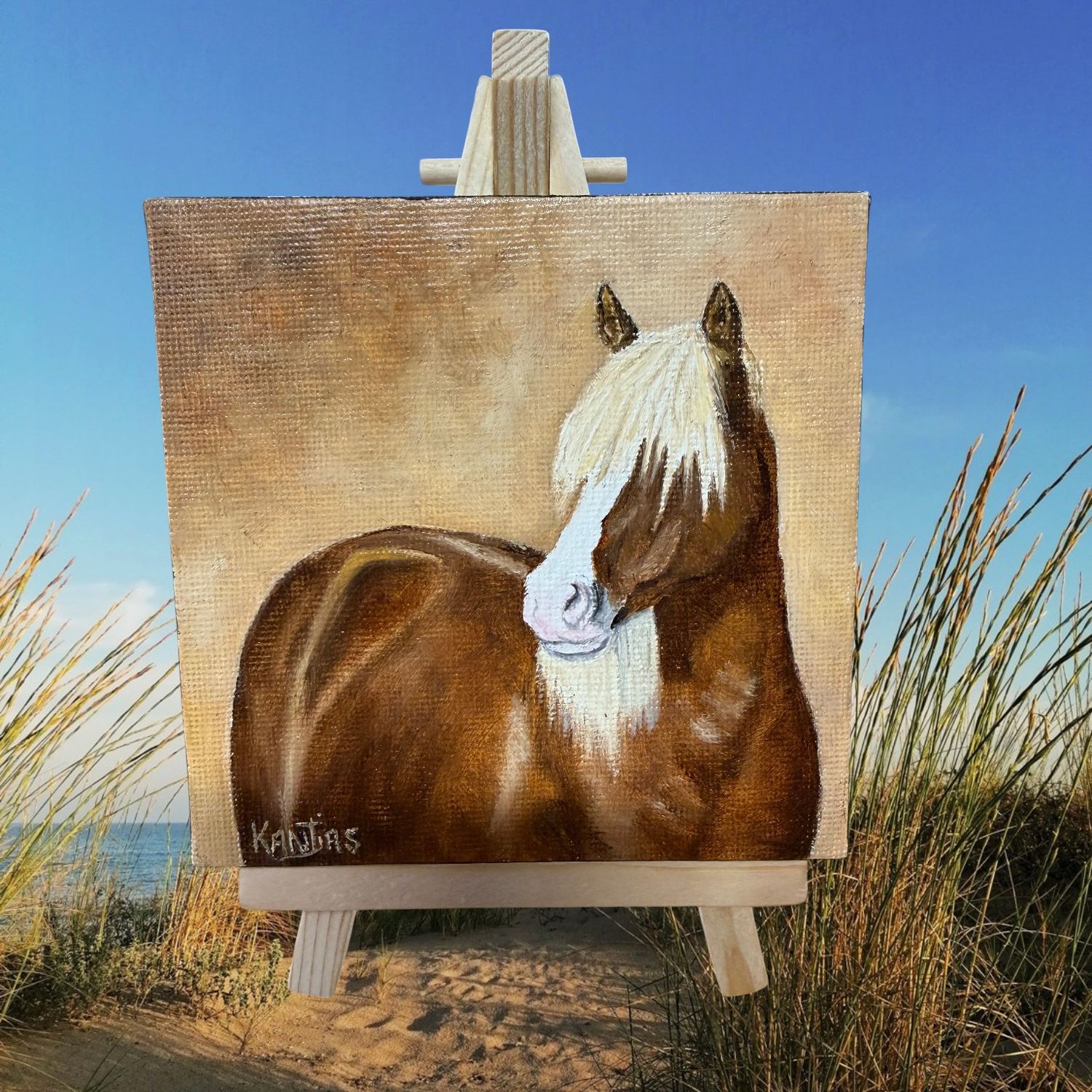 Riptide Solo Portrait 4x4 Original