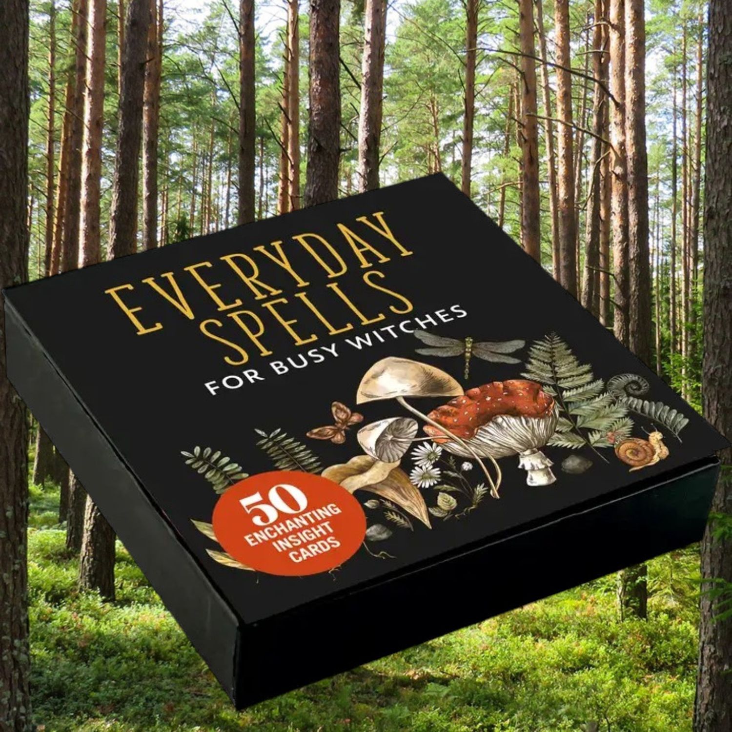Everyday Spells Insight Cards