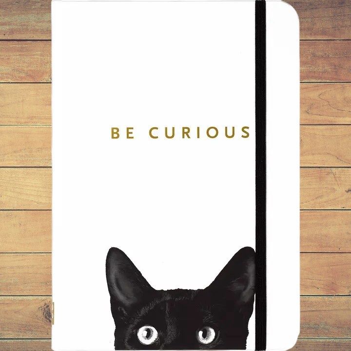 Curious Cat Journal