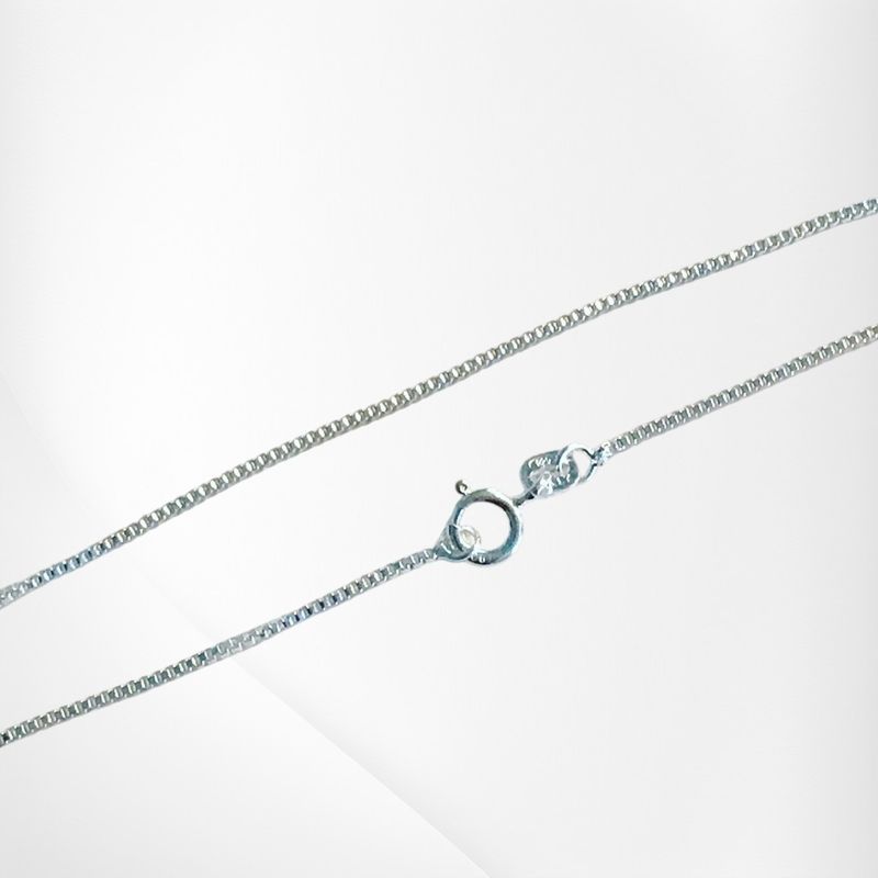 20" S/S Thin Box Chain