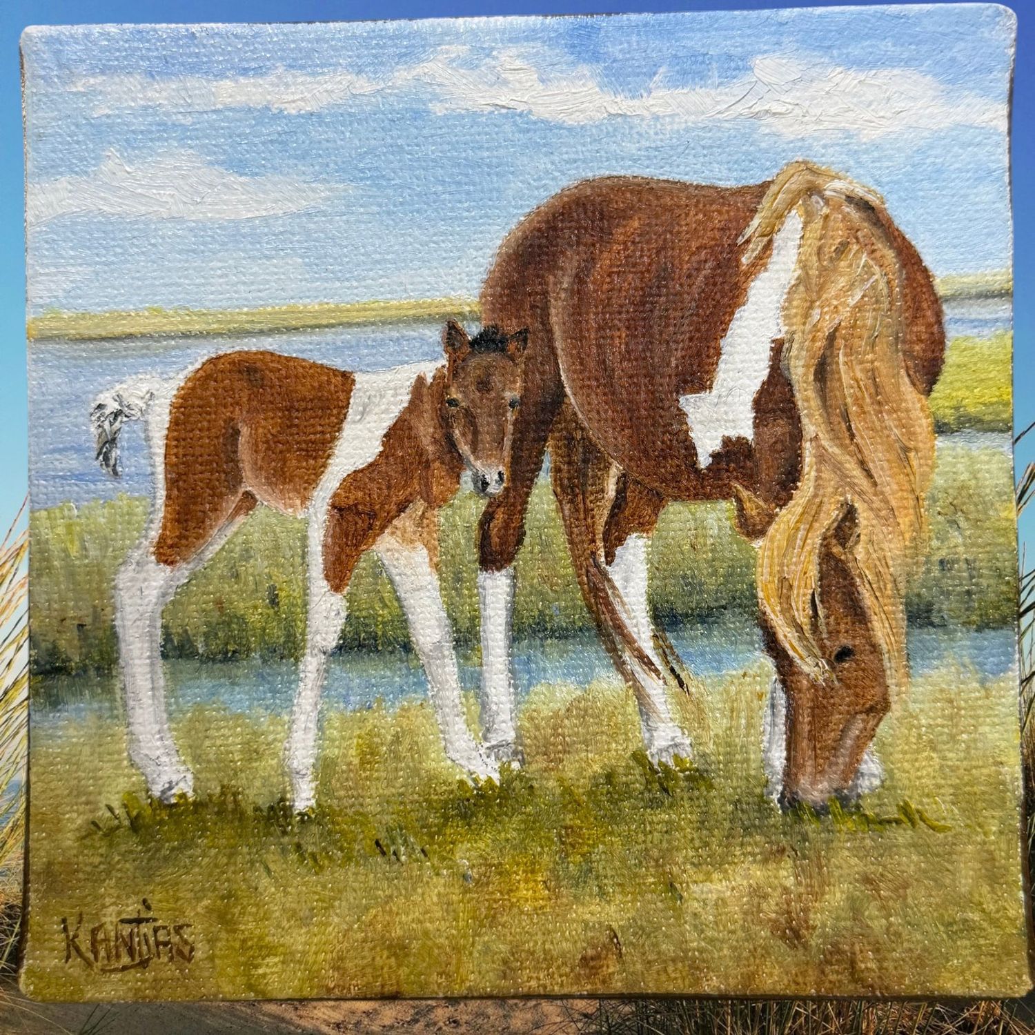 Glory and 2026 Colt Original