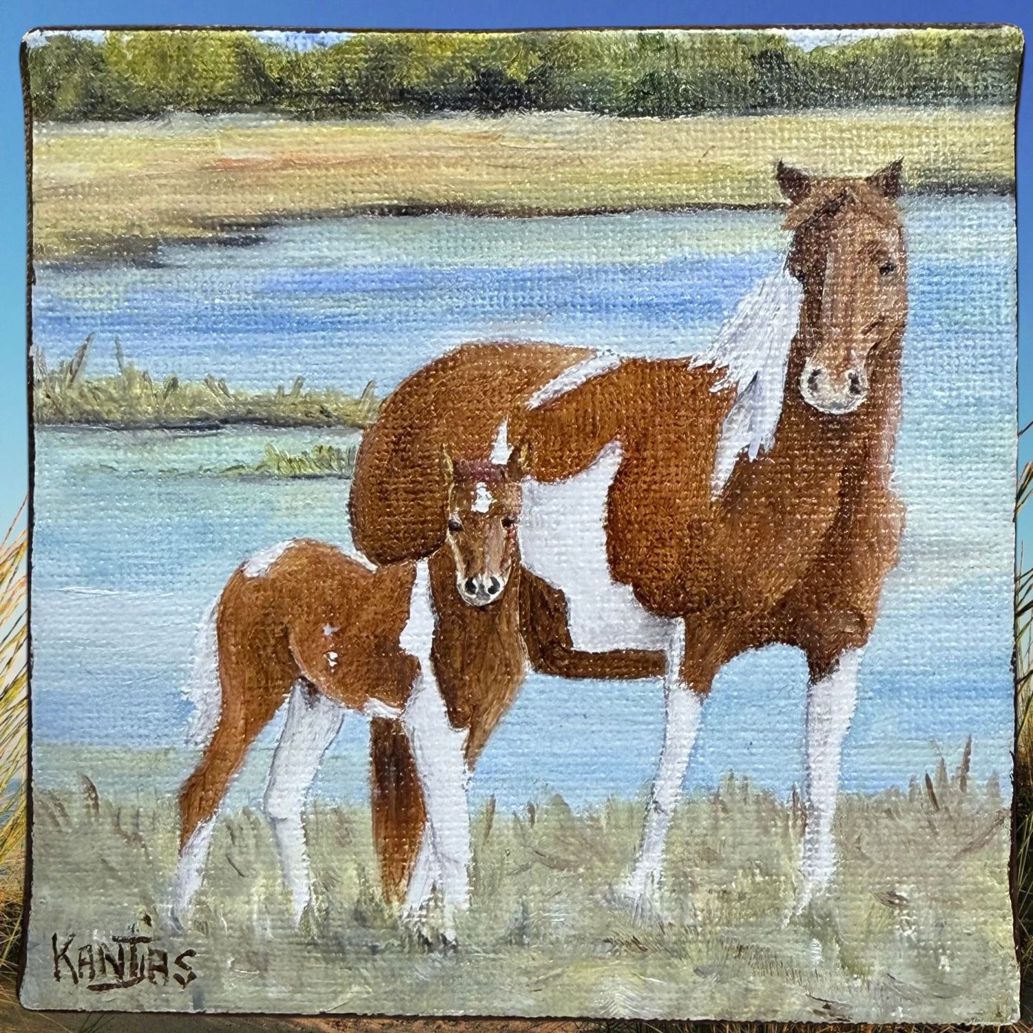 Catwalk Chaos and 2026 Filly Original