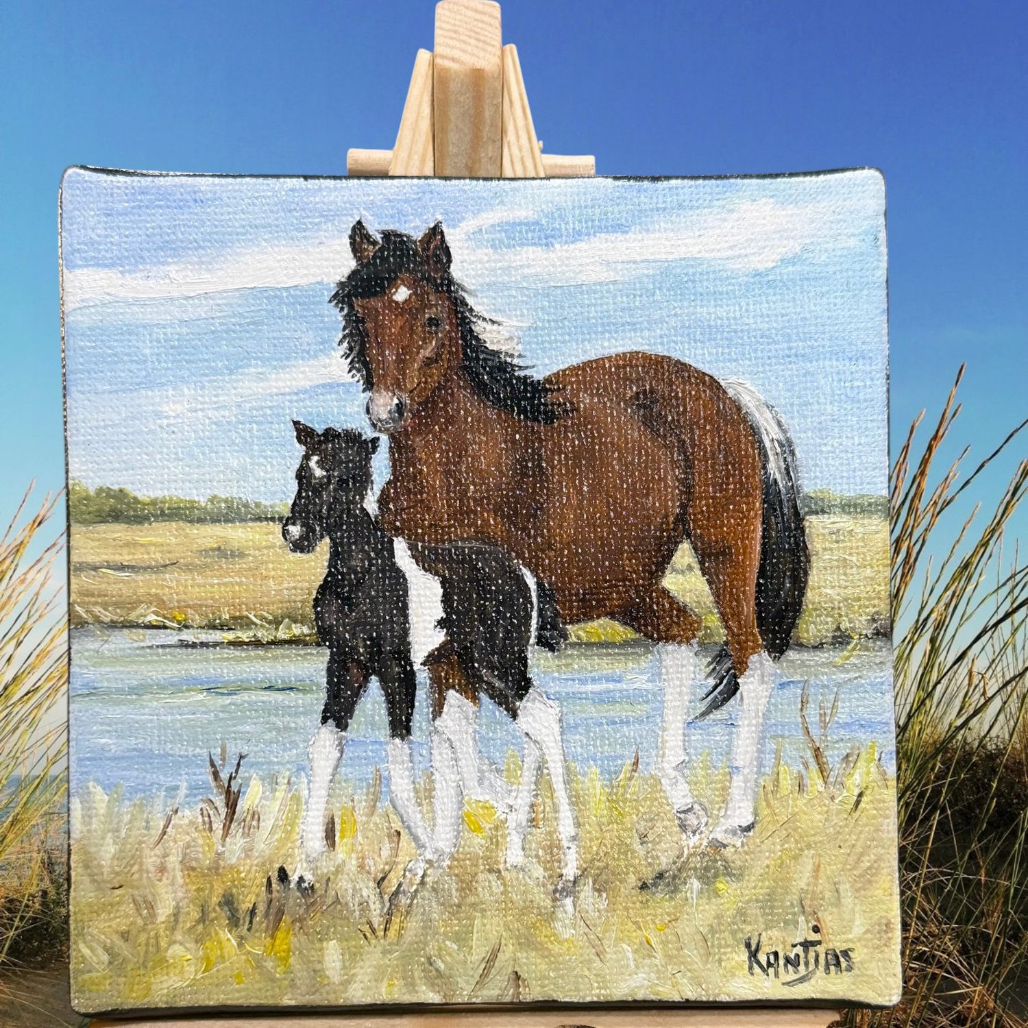 Velvet and 2026 Filly Original
