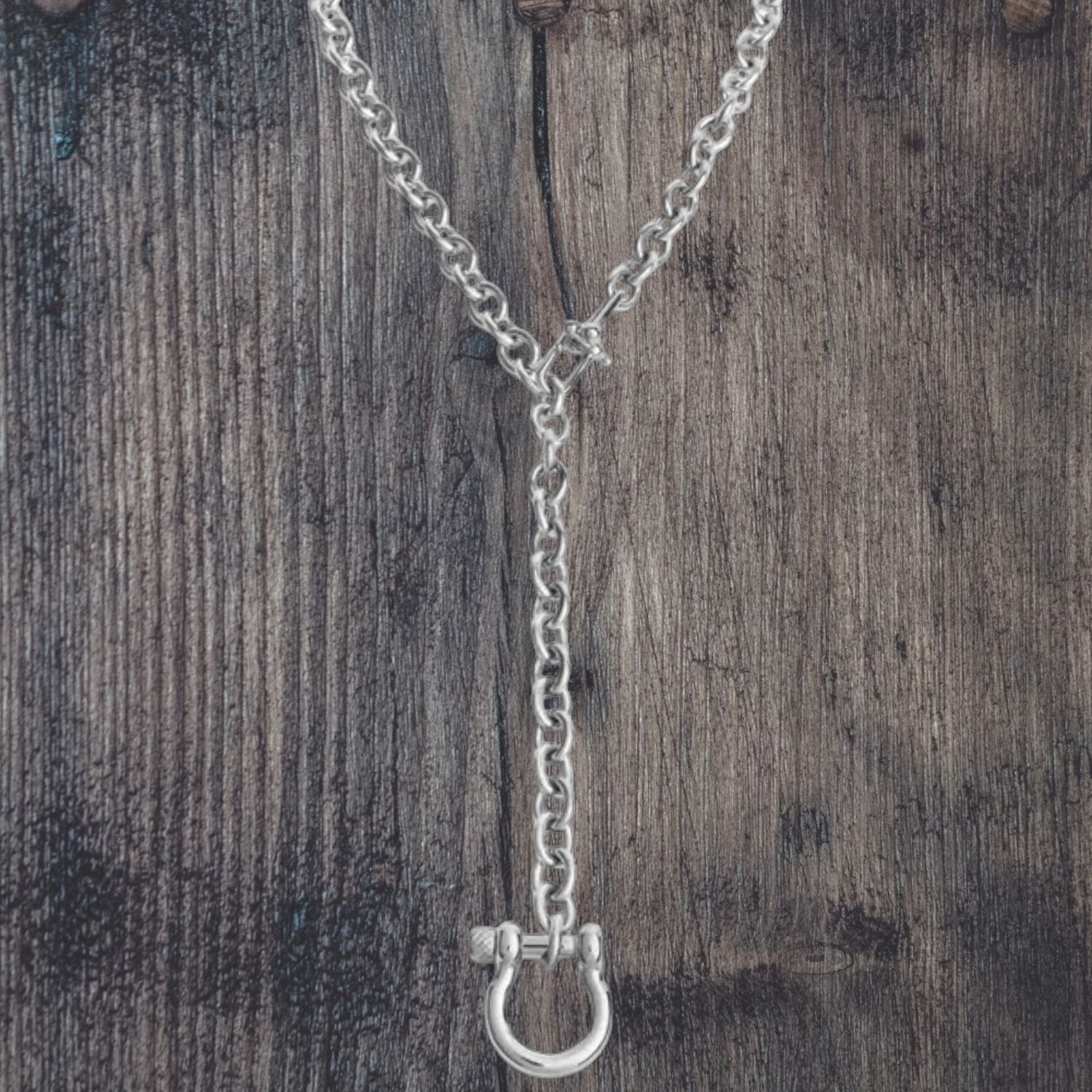 Horseshoe Carabiner Stainless Y Necklace