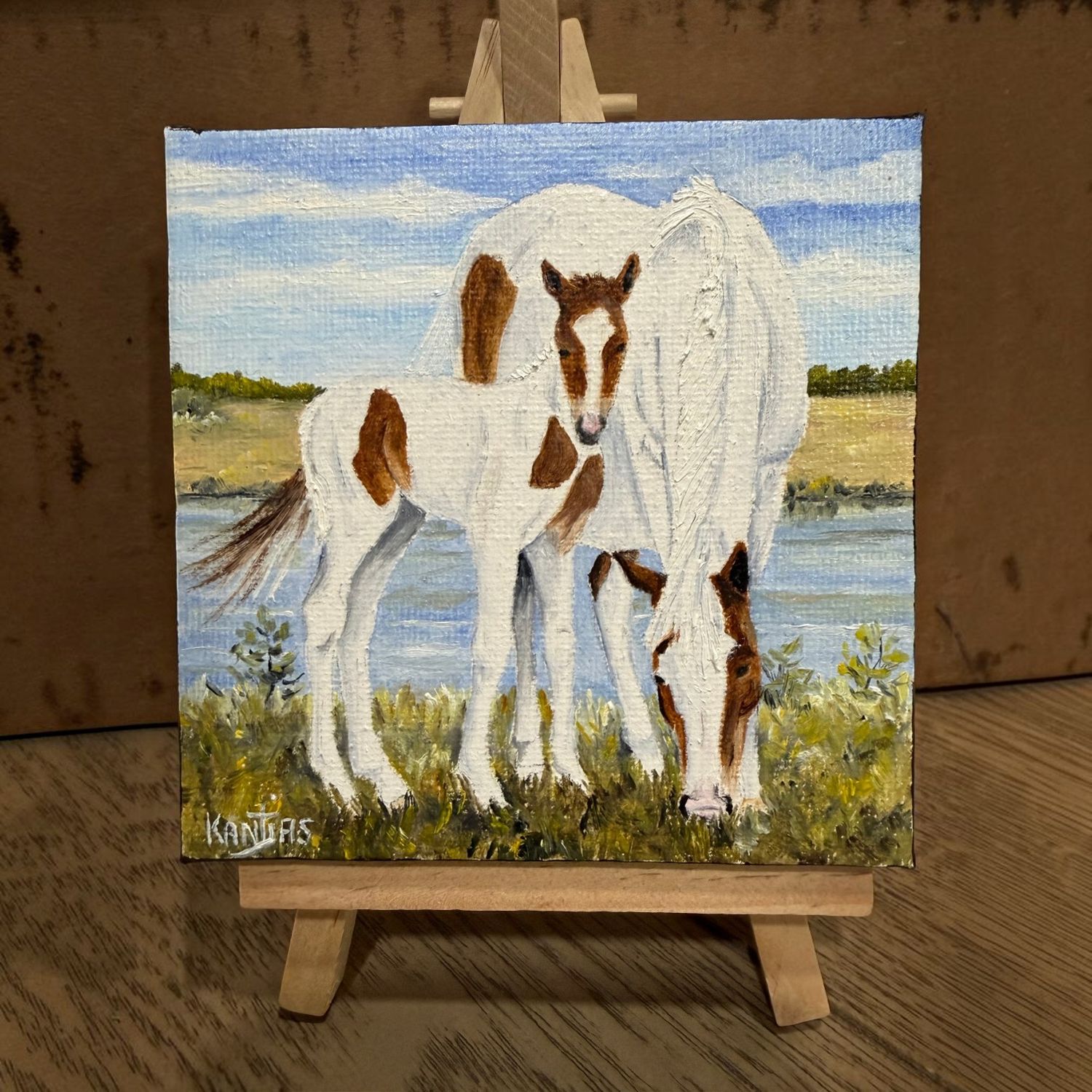 Original Thunderstorm/'26 Filly Phoebe