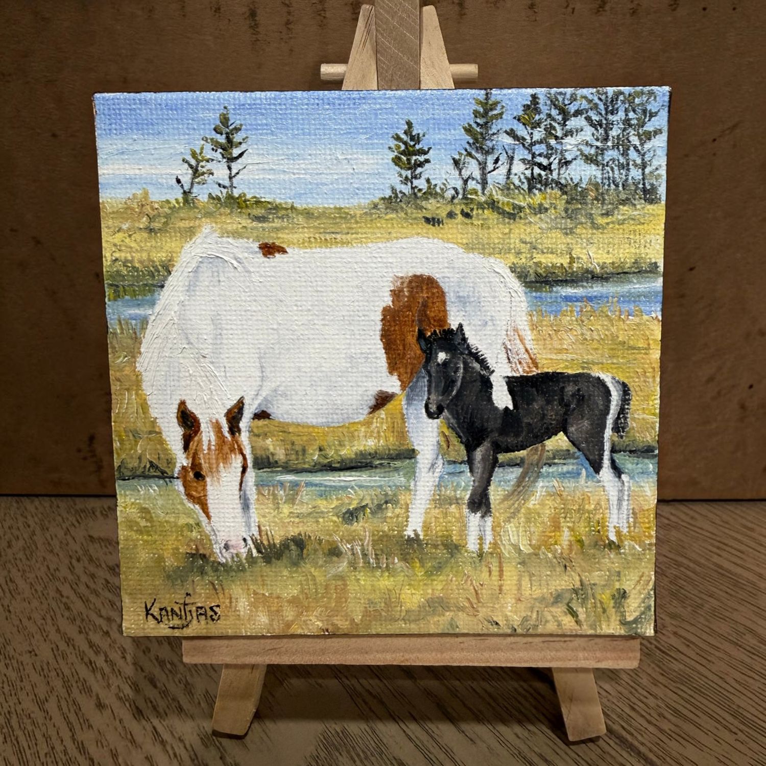 Original Rumor/'26 Colt Midnight Rebel
