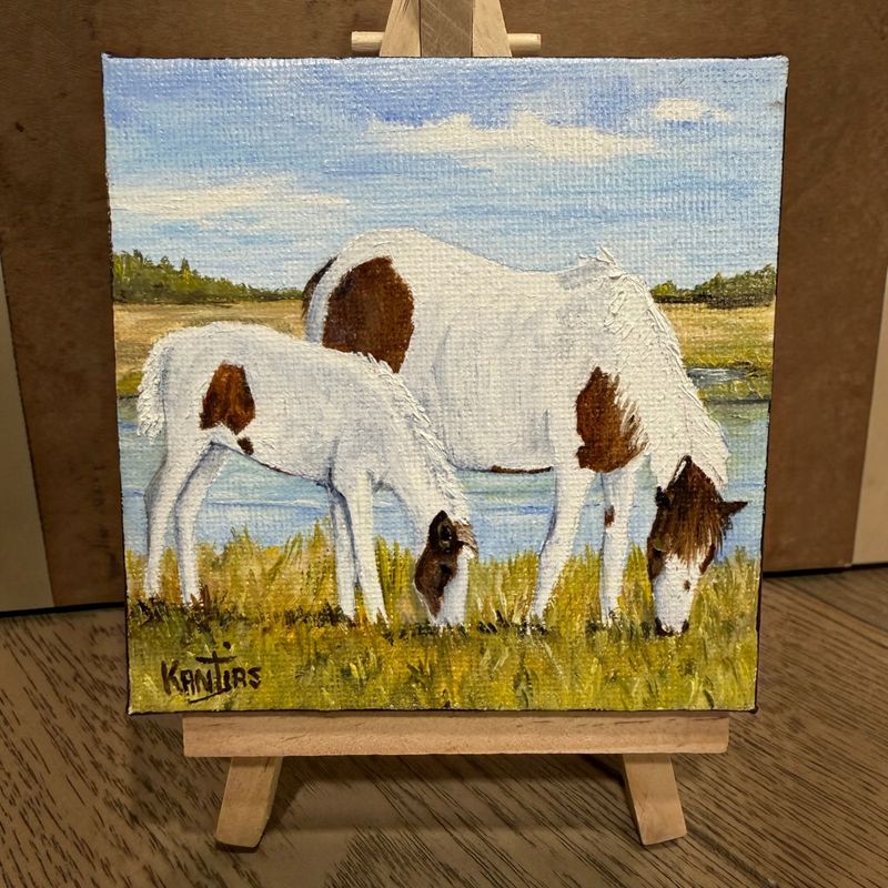 Original Summer/'26 Filly Freedom