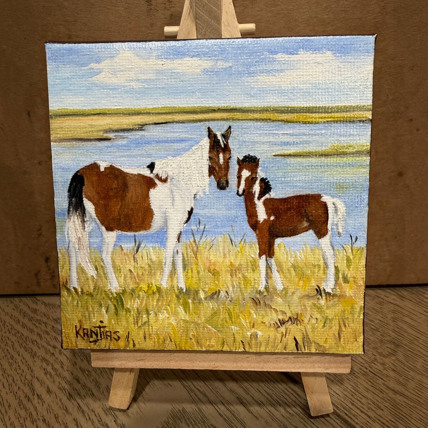 Original Seaside Miracle/2026 Filly Liberty