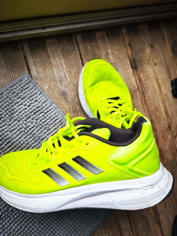basket Adidas sport