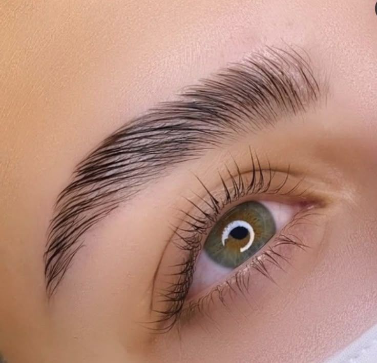 LAMINADO DE CEJAS