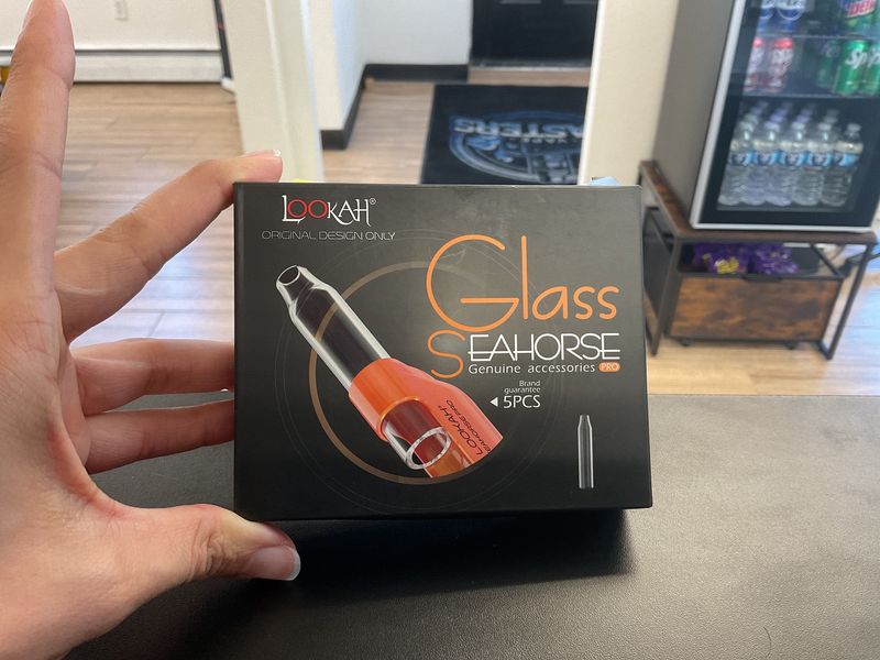 Seahorse Mouth Glass Pieces