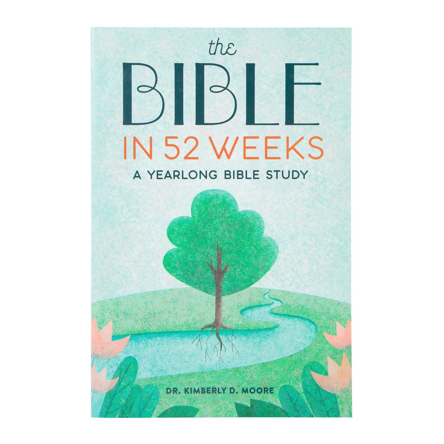 The Bible in 52 Weeks