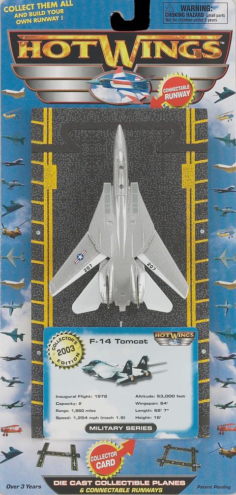 F-14 Tomcat (Jolly Rodgers Air Wing 8)