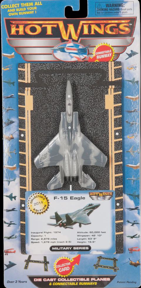 F-15 Strike Eagle (military markings)