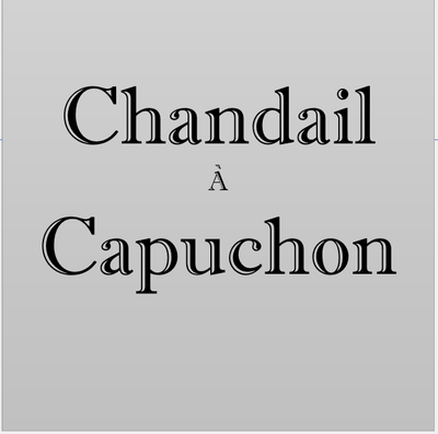 Chandail à capuchon