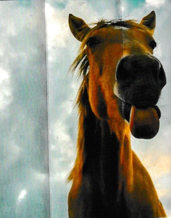 Peinture diamant 5D #117