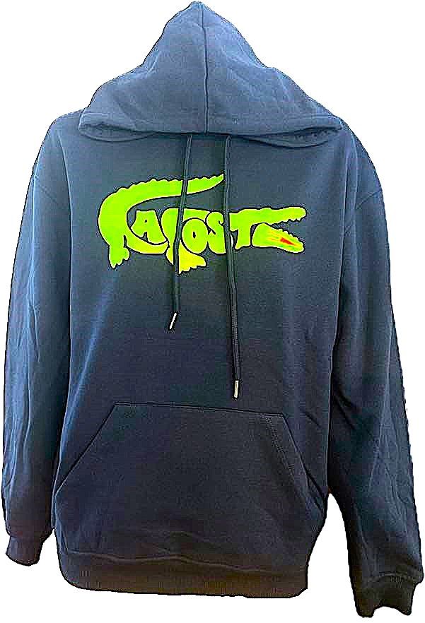 Hoodies Marine- Lacoste