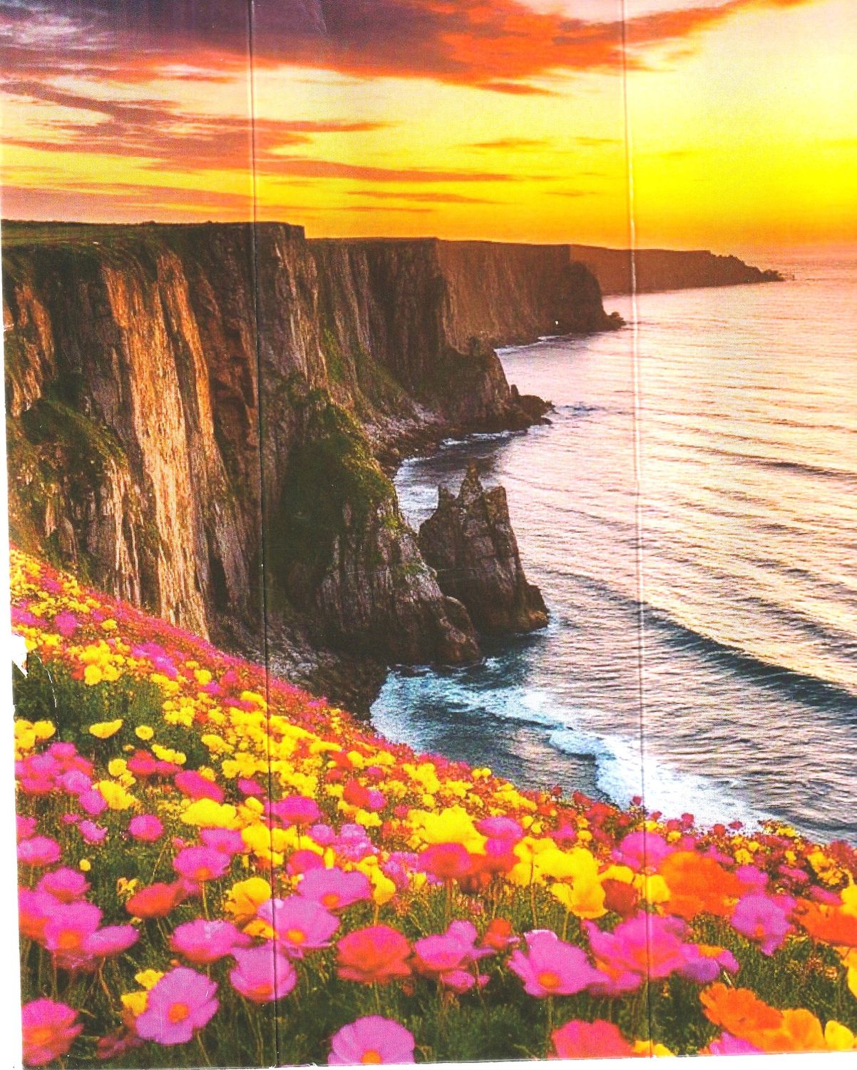 Peinture de diamant 5D #383