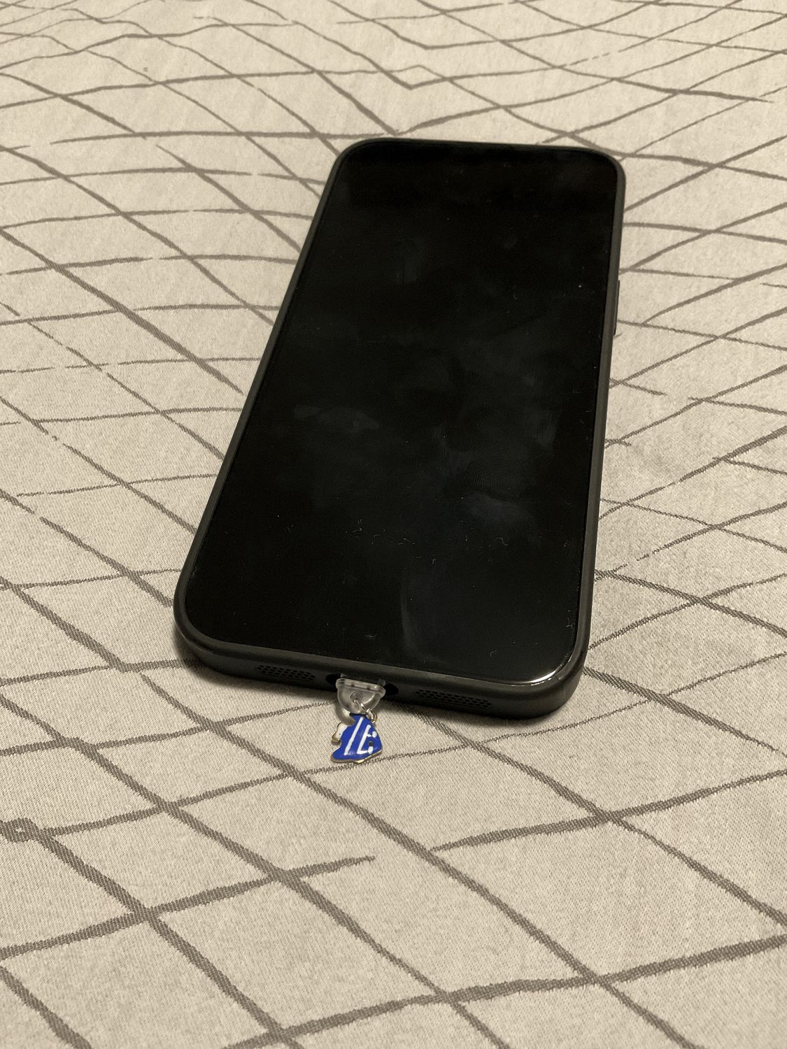 Antipolvere per smartphone