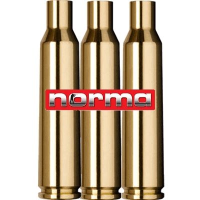 NORMA CASES 6MM DASHER (100)