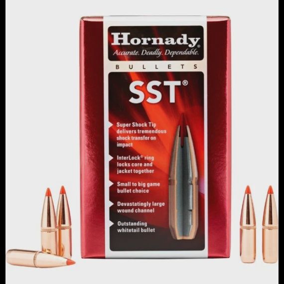 HORNADY BULLETS 30CAL 180GR SST (100)