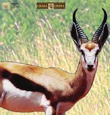 GARIPANI CHASA TARGET SPRINGBOK