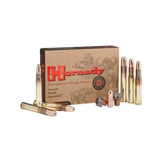 HORNADY AMMO 375RUGER AMMO 300GR DGX-B(20)