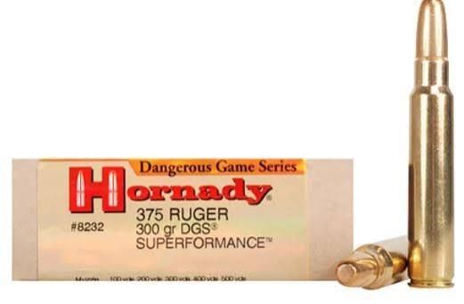 HORNADY AMMO 375 RUGER DGS (20)