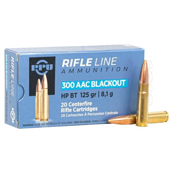 PPU AMMO .300 AAC BLACKOUT HP BT 125GR AMMO
