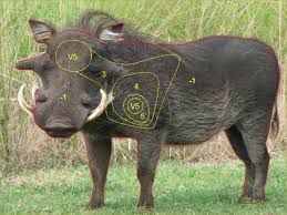 SA JAGTERS VLAKVARK TEIKEN