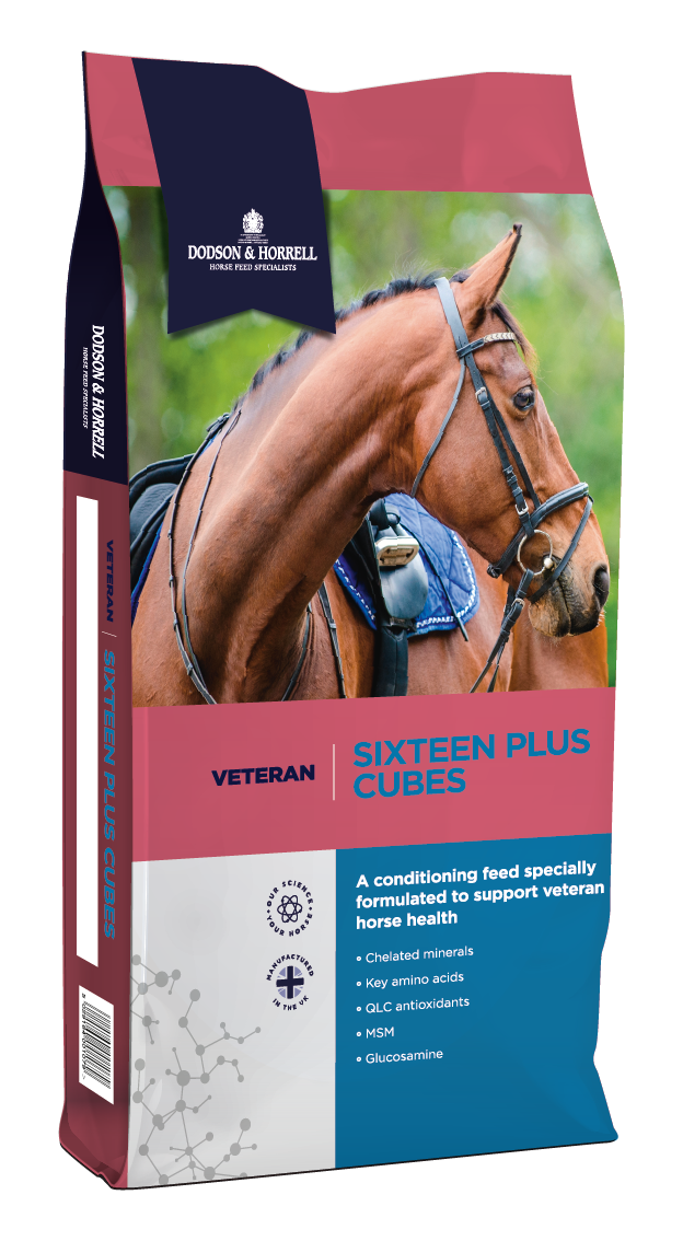 Dodson &amp; Horrell Sixteen Plus Cubes 20Kg